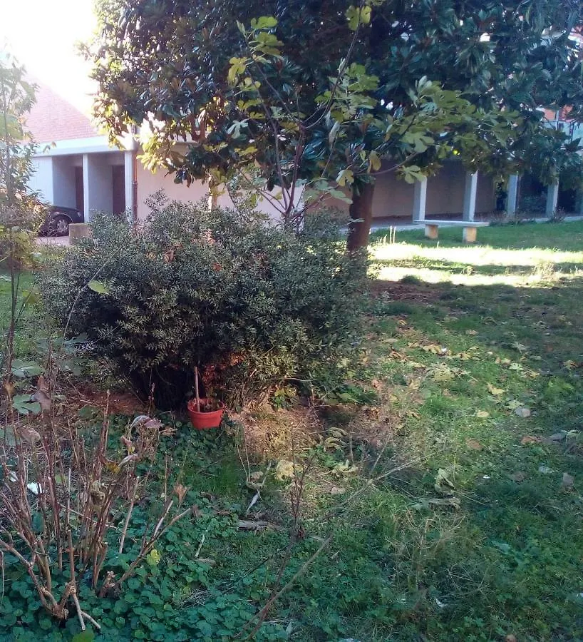 B&B Acquario - Only Rooms Rimini Oda ve Kahvaltı